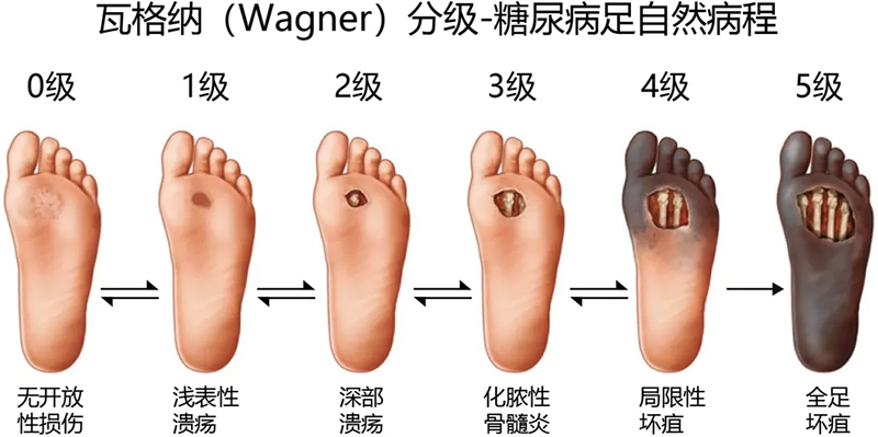 2 拷贝.jpg
