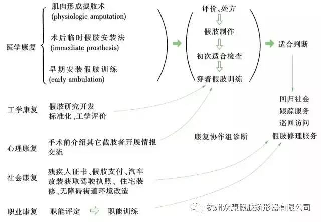 科普丨截肢后如何康复？划重点了！(图1)