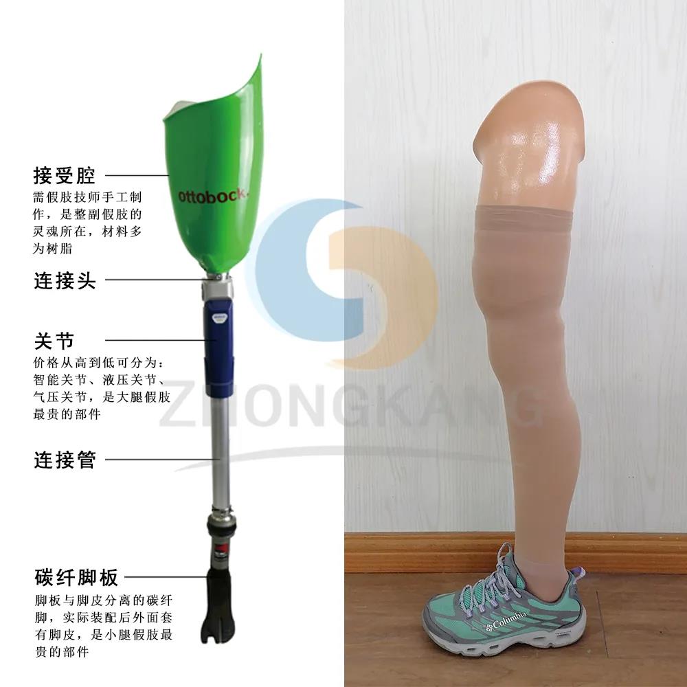 假肢公司